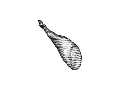 Jamon Iberico art